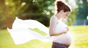 Легкая беременность с проектом «Свитмам»