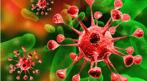 Шведские физики заглянули внутрь вируса-гиганта с помощью рентгена