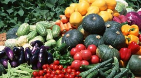 Половина жителей России стала активно выращивать овощные культуры на своих огородах